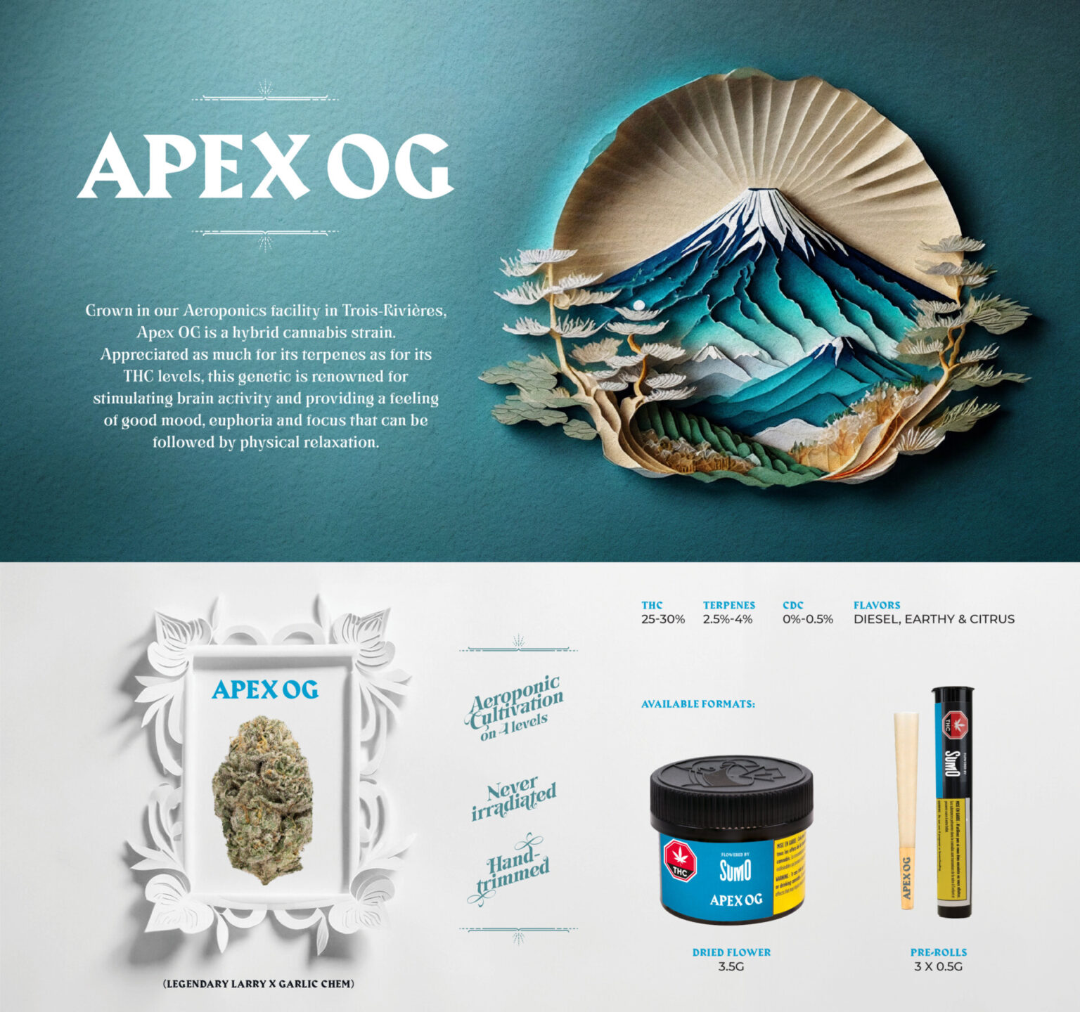 ApexOG-EN