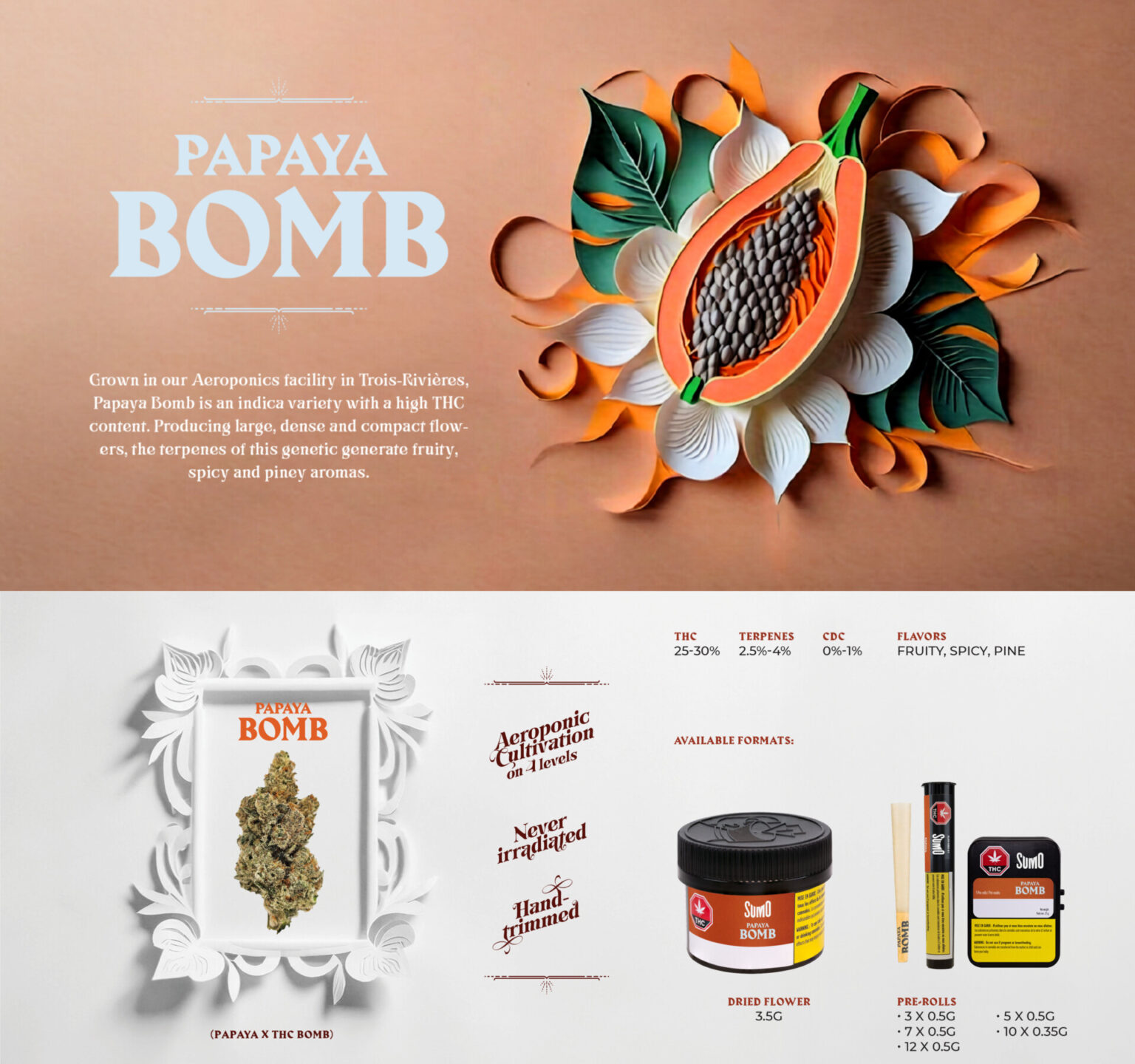 Papaya-Bomb-EN